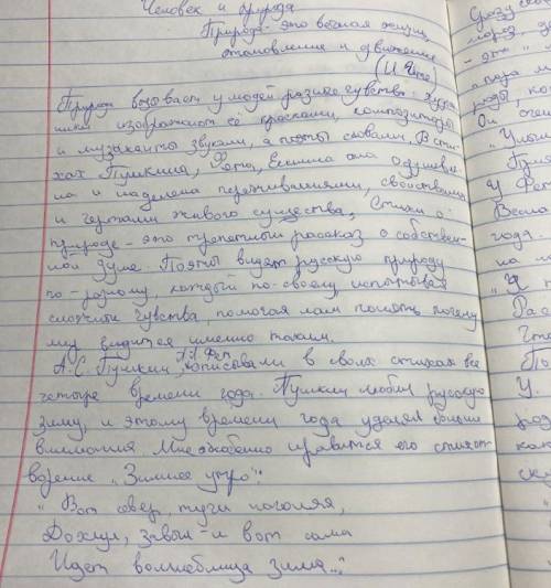 Скиньте ответы на соч по литре 7 класс 2 четверть​