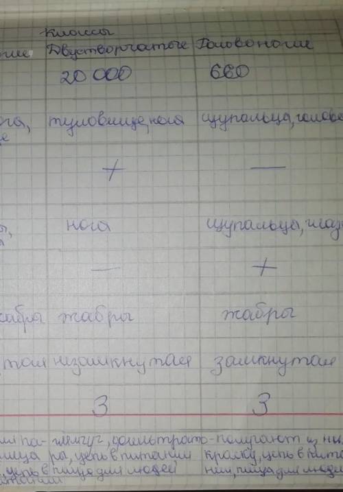 Таблица: сравнительная характеристика классов моллюсков Брюхоногие/Двустворчатые/Головоногие1)Полост