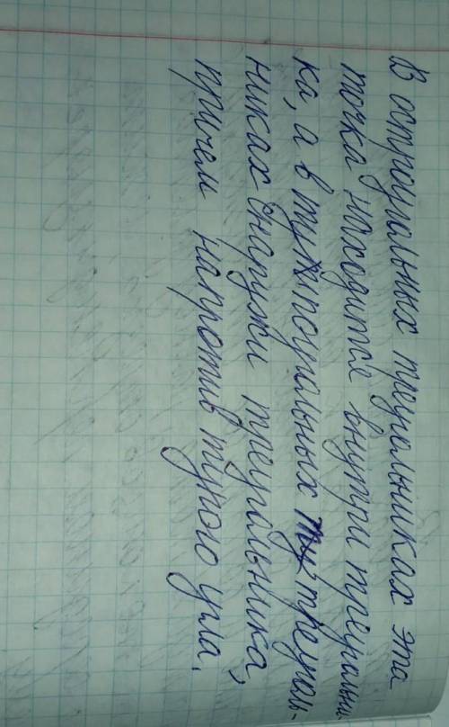 начертите треугольник и проведите серединный перпендикуляр к каждой из его сторон. Что вы заметили?