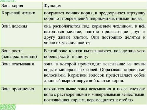 по биологии. 2 задания ​