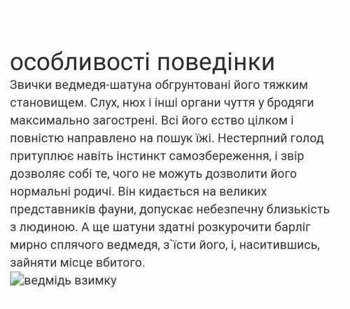 Хто такий ведмідь шатун і чому він не безпечний?