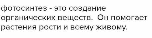 Укажите значение фотосинтеза в природе (не менее 3-х пунктов)
