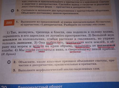 Только 3 и 4 Надо ещё подчеркнуть деепричастие, причастие, глаголы И т.д