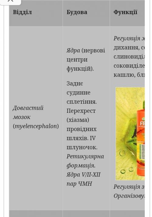 визначте залежність будови окремих структур головного мозку від виконуваних функцій 