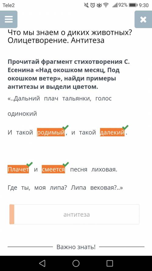 Что мы знаем о диких животных? Олицетворение. Антитезаонлайнмектеп по русскому все