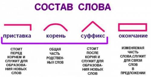 ответьте на вопросы из 4 класса ( В.Т. Голубь )