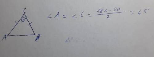 5.) АВ основание равнобедренного треугольника ABC. С = 50градусов . найдите остальные углы треугольн