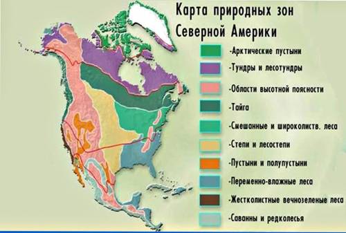 Природные зоны северной америки расположены необычно: на севере материка – с запада на восток, а в ц