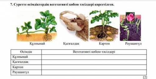 Өсімдіктердің вегетативті көбею тәсілдері көрсетілген