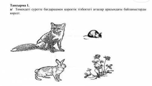 Төмендегі суретті бағдаршамен қоректік тізбектік ағзалар арасындағы байланысты көрсету