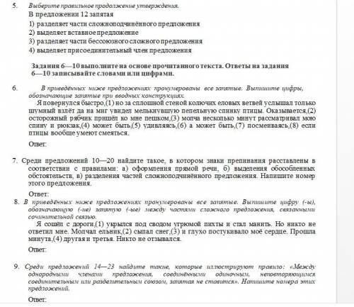 9 класс Тест, текст и задания на фото