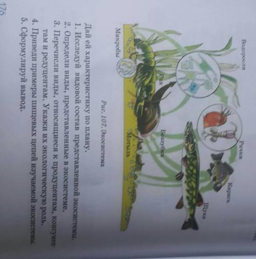 На ресунке представлена экосистема