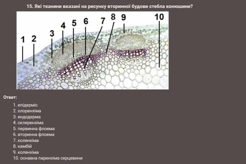 Нужно проверить правильность ответа
