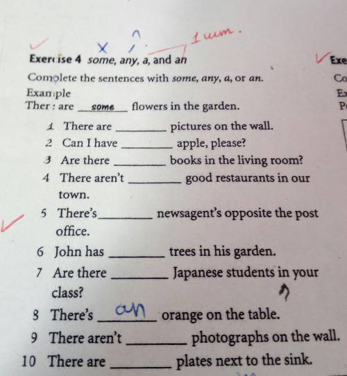 Complete the sentences with some, any,a,or an.​