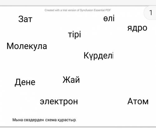 Мына сөздерден схема құрастыр 
