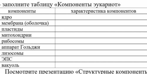 Заполните таблицу «Компоненты эукариот» 