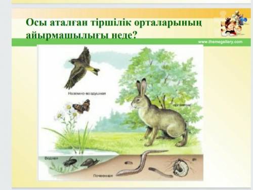 Осы аталған тіршілік орталарының айырмашлығы неде