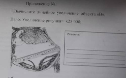 Вычислите линейное увеличение объекта B