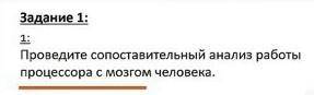 Проводите сапоставительный анализ работы процессора с мозгом человека 