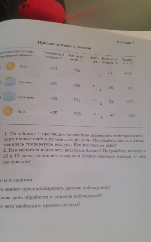 ОТВЕТИТЕ НА 2 ВОПРОСА ПО ТАБЛИЦЕ 