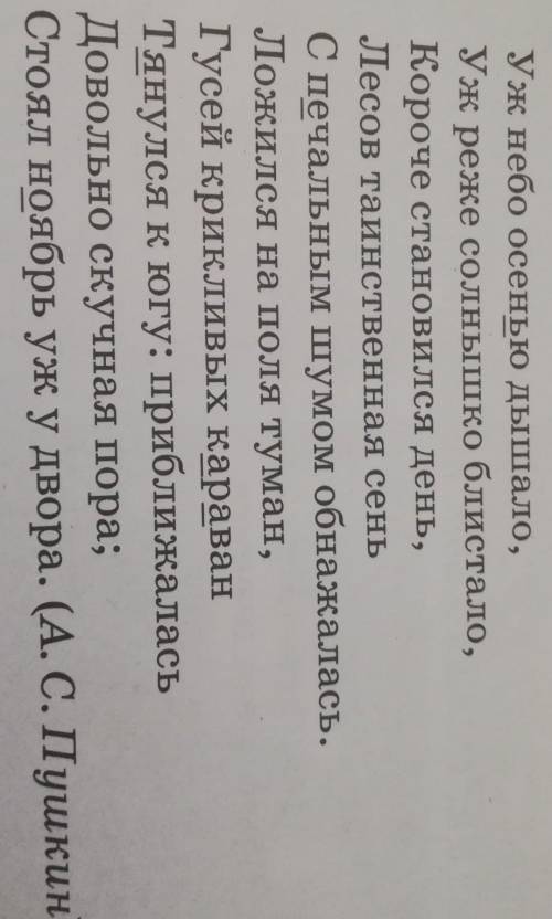 Прокомментируйте подчеркнутые орфограммы