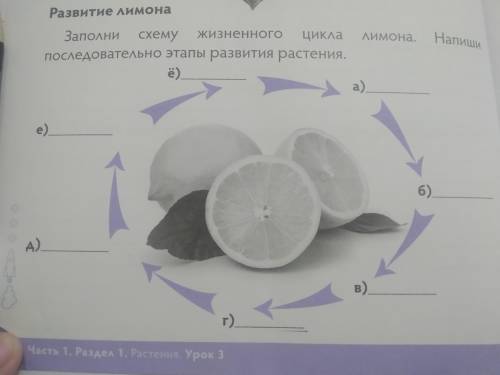 я не согу написать 4 класс
