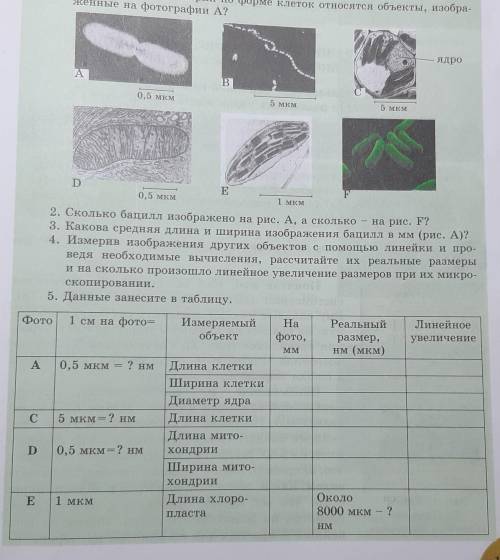 сделать 5. данные занесите в таблицу​