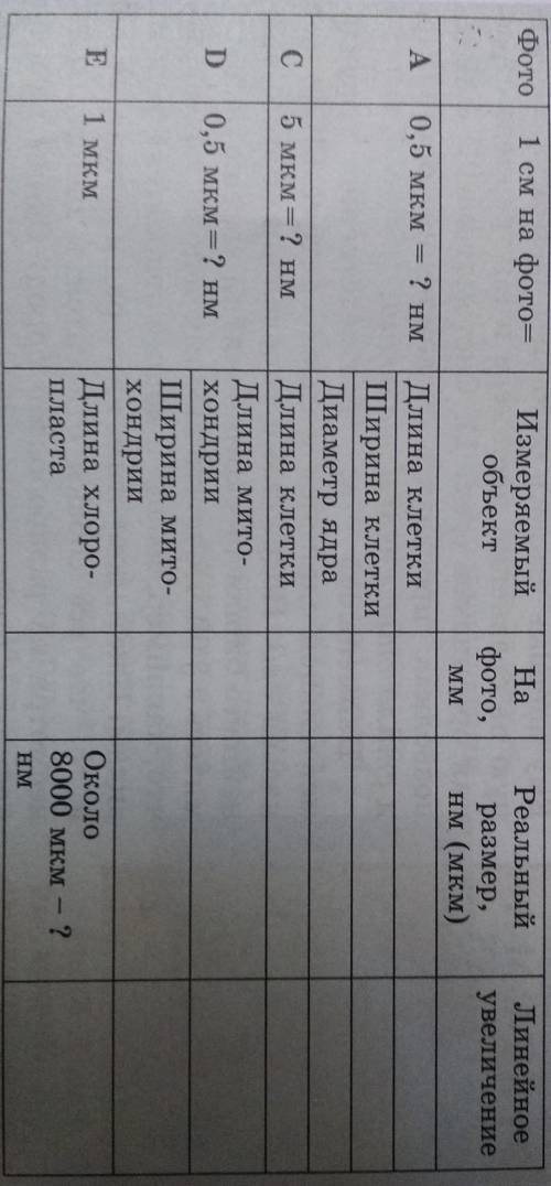 На фото, ммРеальный размер, нм (мкм)Линейное увеличение