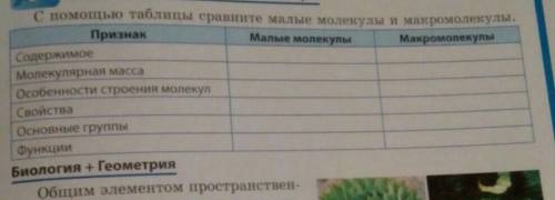 С таблицы сравните малые молекулы и макромолекулы