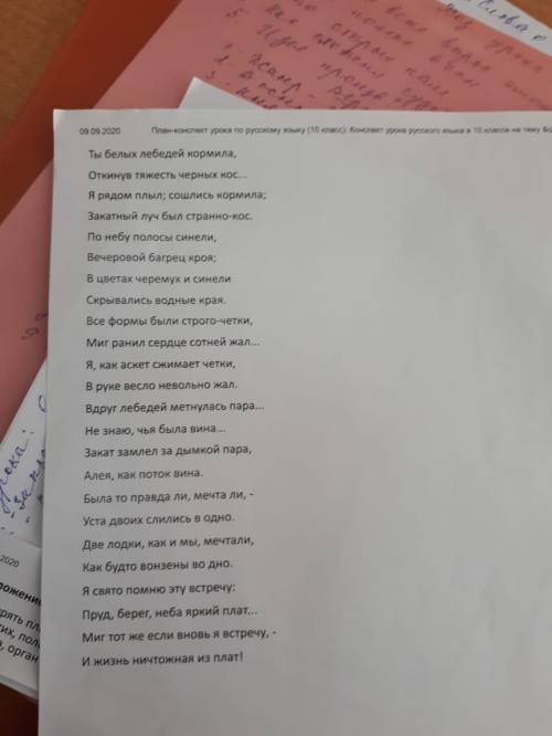 Найдите в тексте омоформы, омофоны, омографы