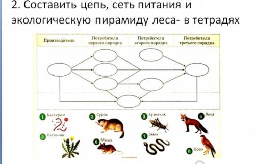 биология цепь просто вставить где, что