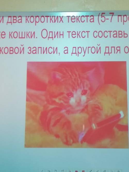 Напиши 2 коротких текста 5,7 предложений о пропаже кошки