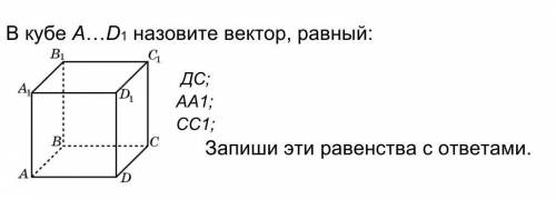 В кубе A…D1 назовите вектор, равный: