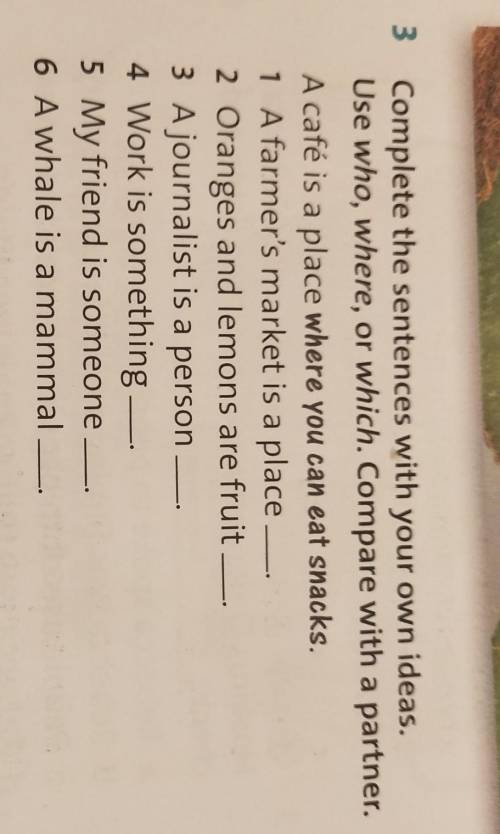 Complete the sentences with your own ideas.Use who, where, or which.Compare with a partner.