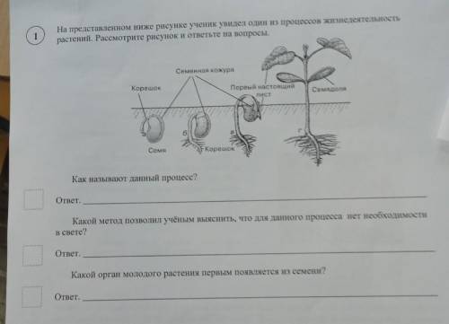 решите по биологии за 6 класс