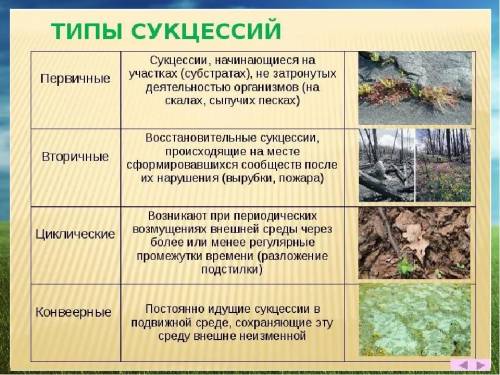 Назовите наиболеераспространенные причинывторичной экологическойсукцессии