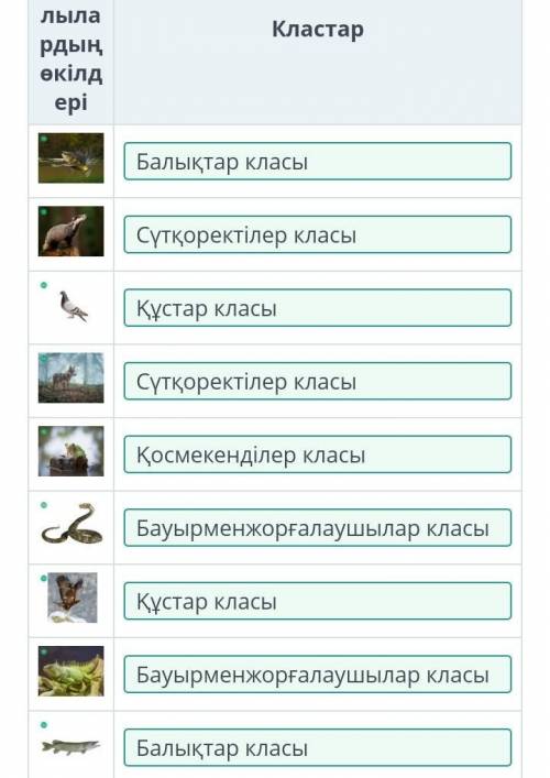 Омыртқалардың өкілдерін класстар бойынша орналастыр ​