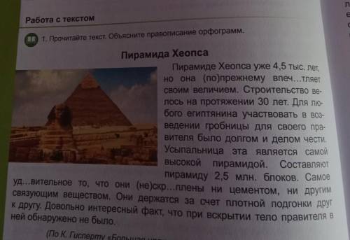 Объясните правописание орфограмм 