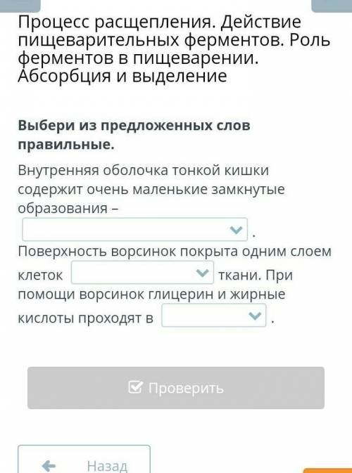 Внутренняя оболочка тонкой кишки содержит очень маленькие замкнутые образования​