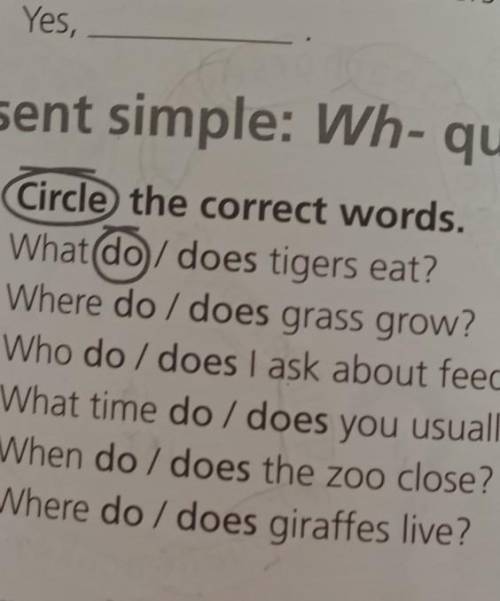 Present simple:Wh-questions​