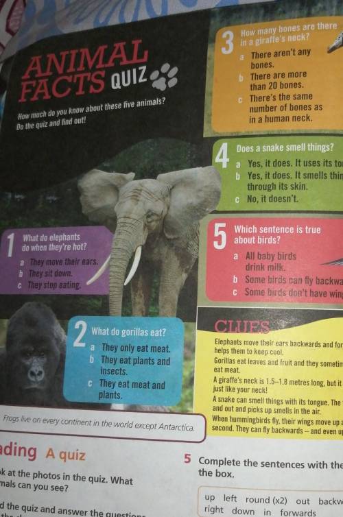 3 ANIMALFACTS QUIZLanguage fHow many bones are therein a giraffe's neck?a There aren't anybones.b Th