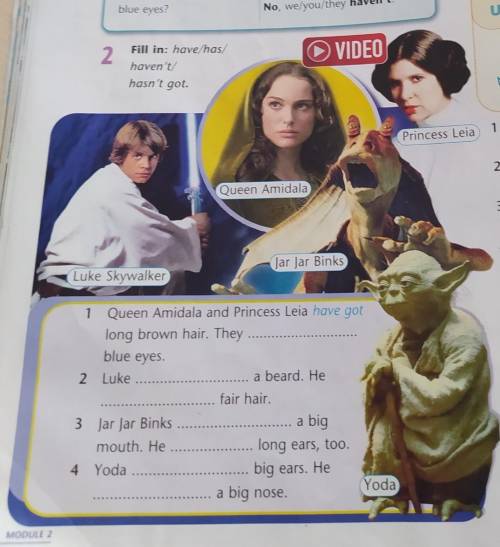 Look at the pictures. Read the sentences. Fill in: have/has/haven’t/ hasn’t. 