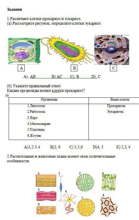 ДО 14:30 ХОТЯ БЫ 2 ЗАДАНИЕ РАДИ БОГА