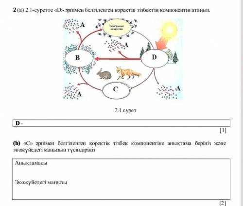 умоляю очень сильно надо 