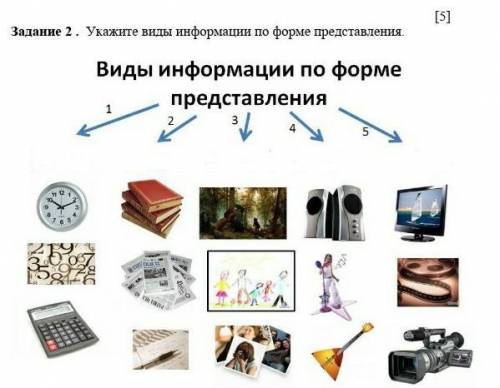 Укажите виды информации по форме представления. 