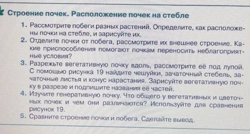 ответить на 3,4,5 вопрос 