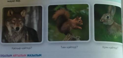 ОҚЫЛЫМ АЙТЫЛЫМ1-тапсырма.Суретті пайдаланып, сұраққажауап бер.