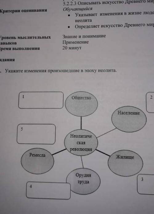 Укажите изменение в эпоху неолит