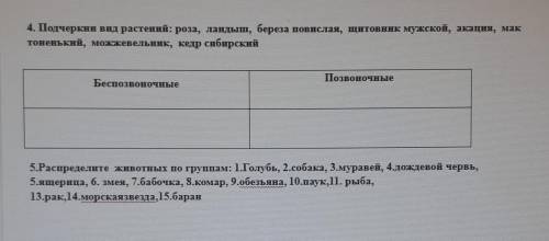Люди памагт, кому не жалко:)):):):) ​