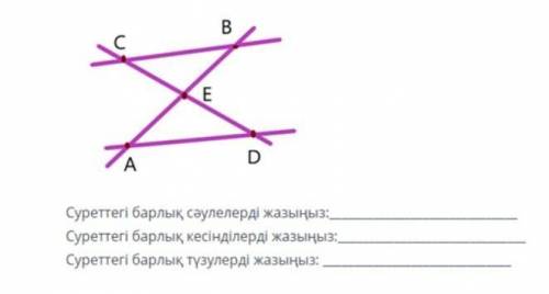 Суреттегі барлық сәулелерді жазыңыз